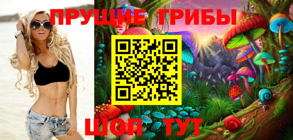 Морозовск  Псилоцибиновые грибы GOLDEN TEACHER  Вход с VPN 