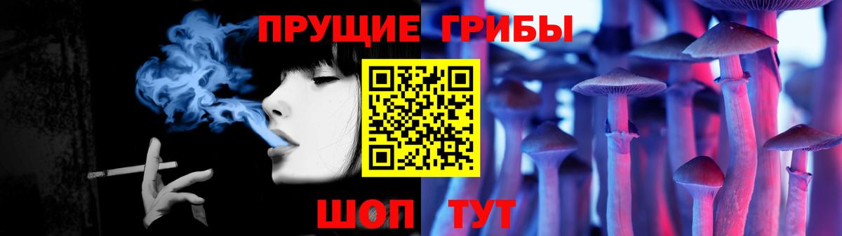 Псилоцибиновые грибы MAGIC MUSHROOMS Морозовск